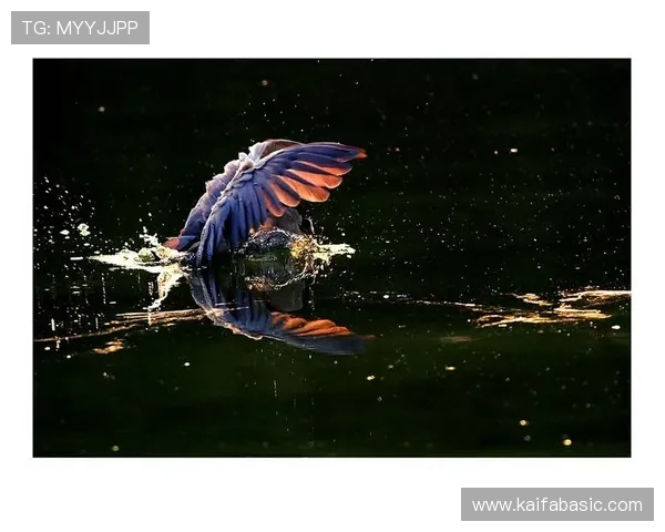 AG扑鱼登陆的详细攻略帮助新手快速掌握游戏技巧 AG扑鱼登陆的详细攻略帮助新手快速掌握游戏技巧