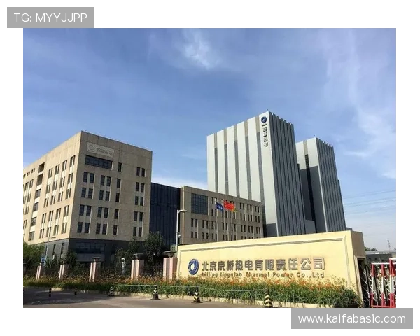 解析凯发集团地址下载网址，助你快速获取所需信息与资源